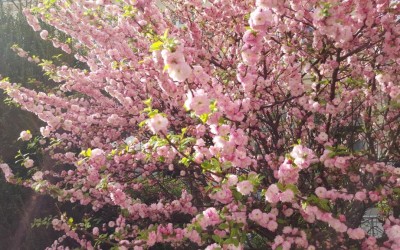 SPRING IS IN THE AIR!